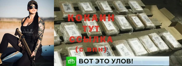 a pvp Бородино