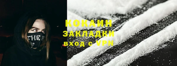 a pvp Бородино