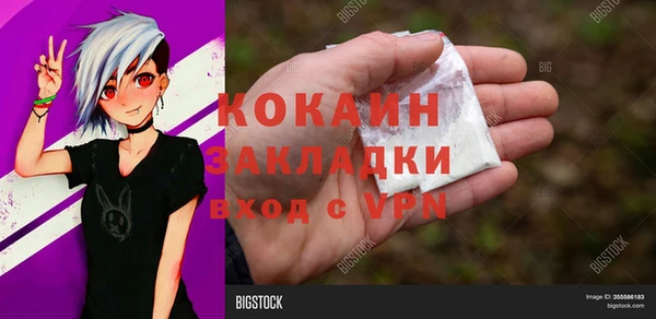 a pvp Бородино