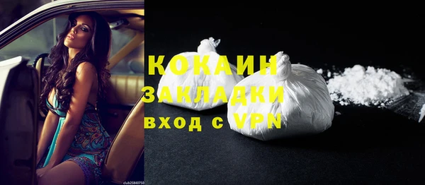 a pvp Бородино