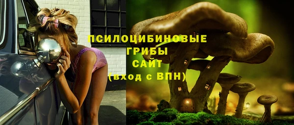 a pvp Бородино