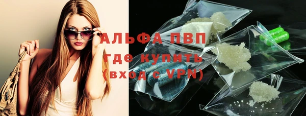 a pvp Бородино